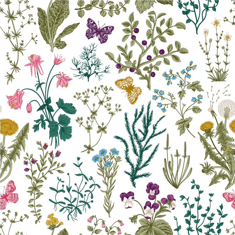 Łąka pełna kwiatów