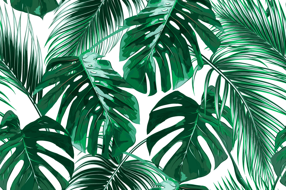 Monstera i palmy