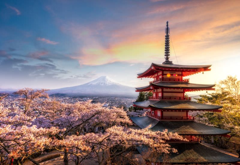 Kwitnąca wiśnia na tle Fuji