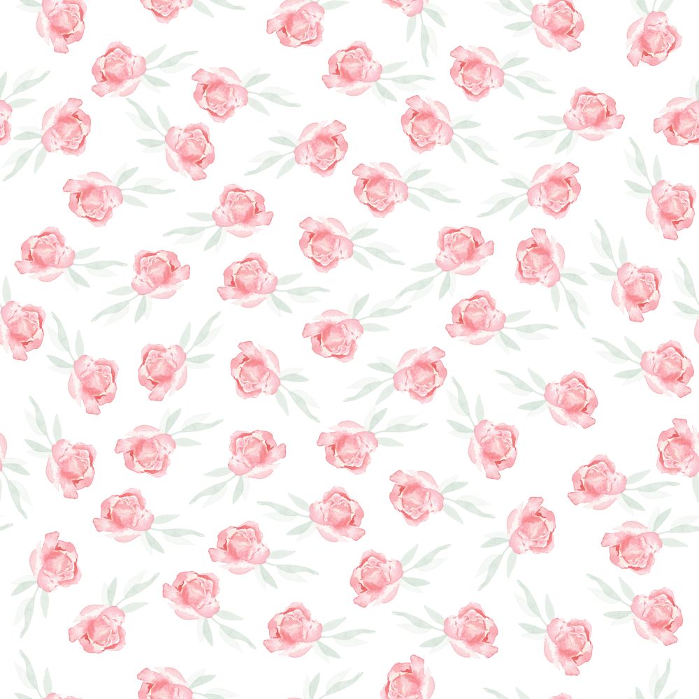 Delikatne róże na białym tle