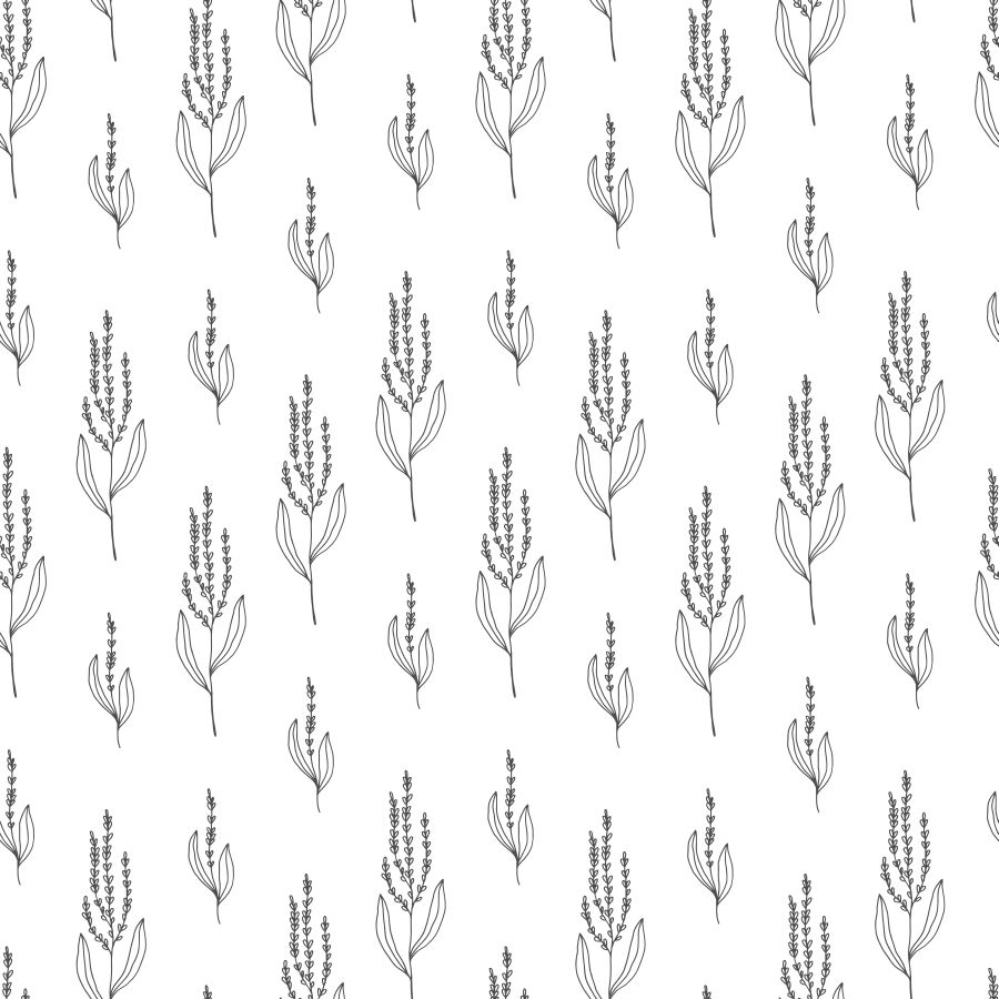 Drobny szkic polnych roślin