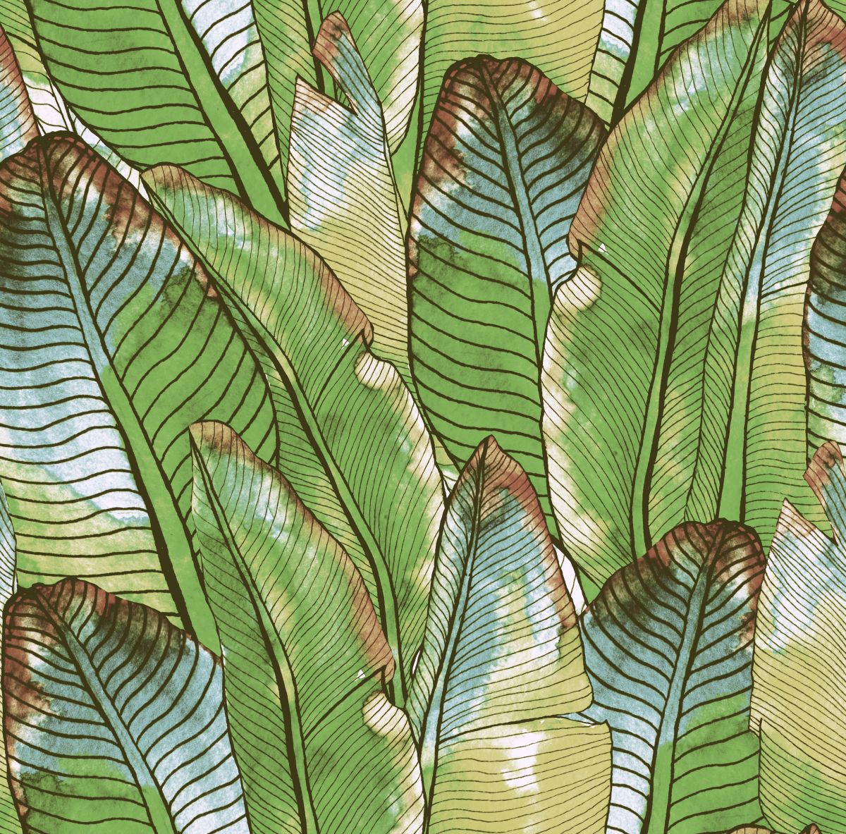 Duże gęste liście bananowca