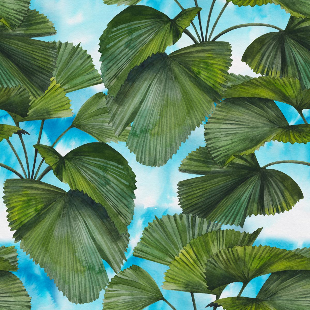 Liście palmy na tle nieba