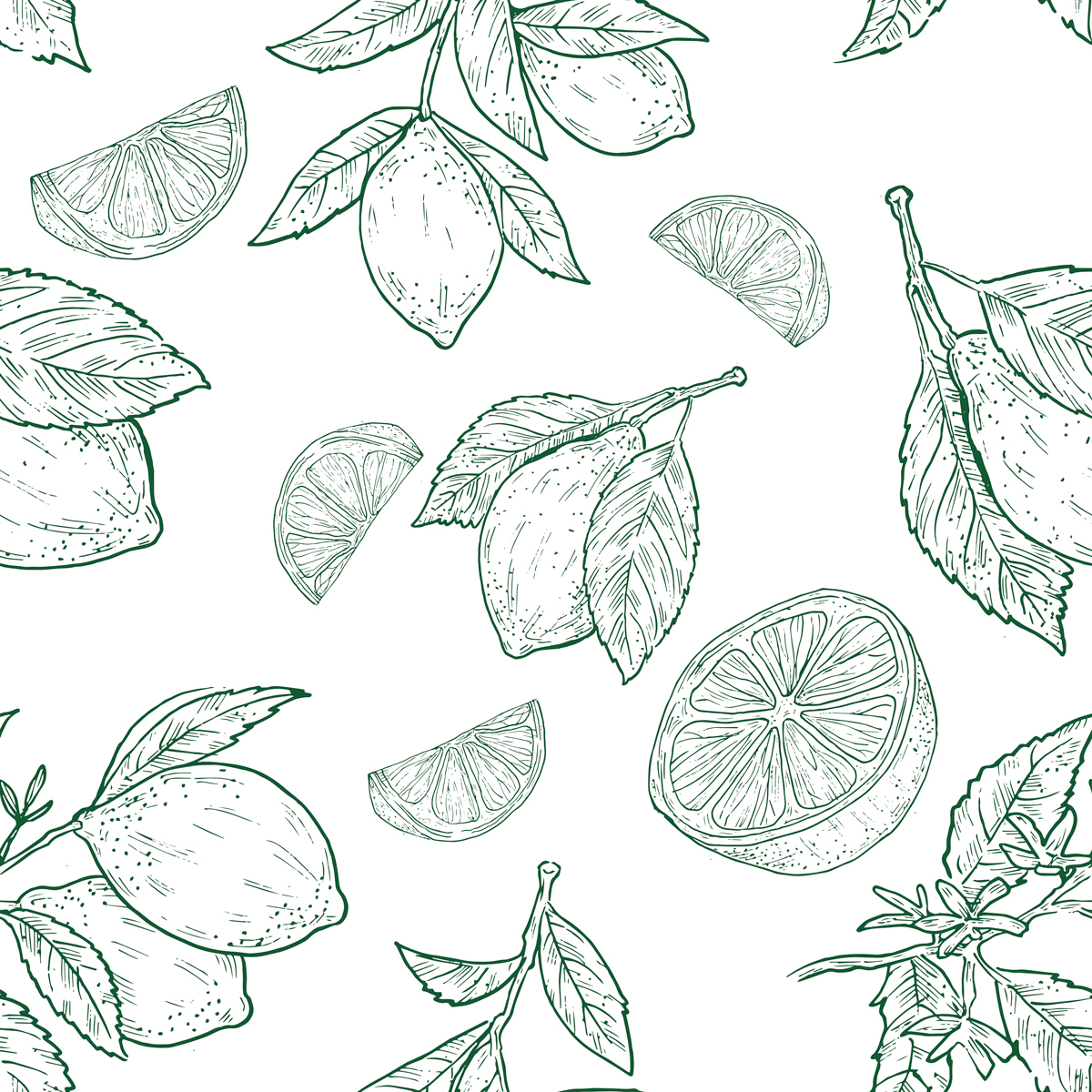 Zielony szkic cytryn