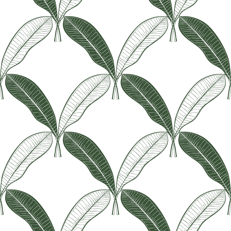 Zielone liście bananowca na białym tle