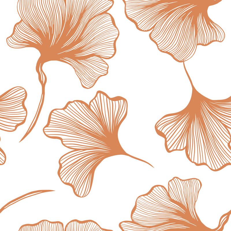 Brązowe, duże liście miłorzębu na białym tle