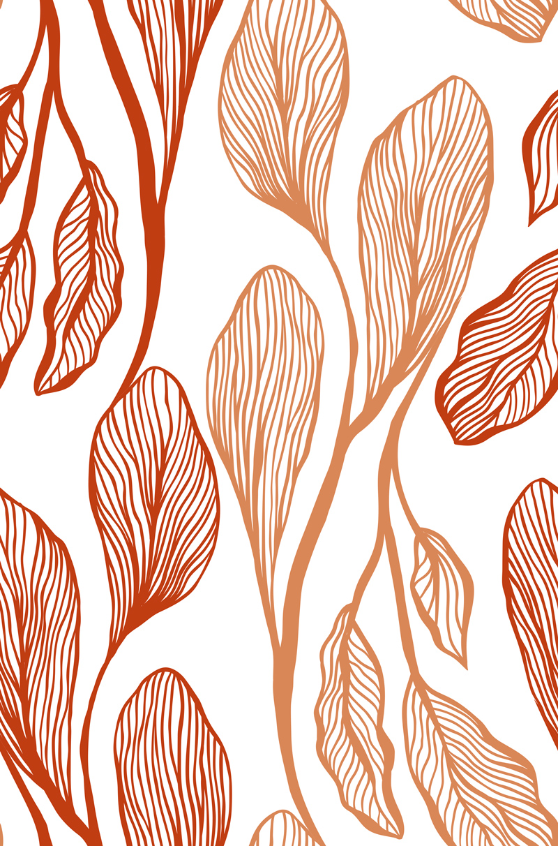 Duże, podłużne liście czerwone i beżowe na białym tle