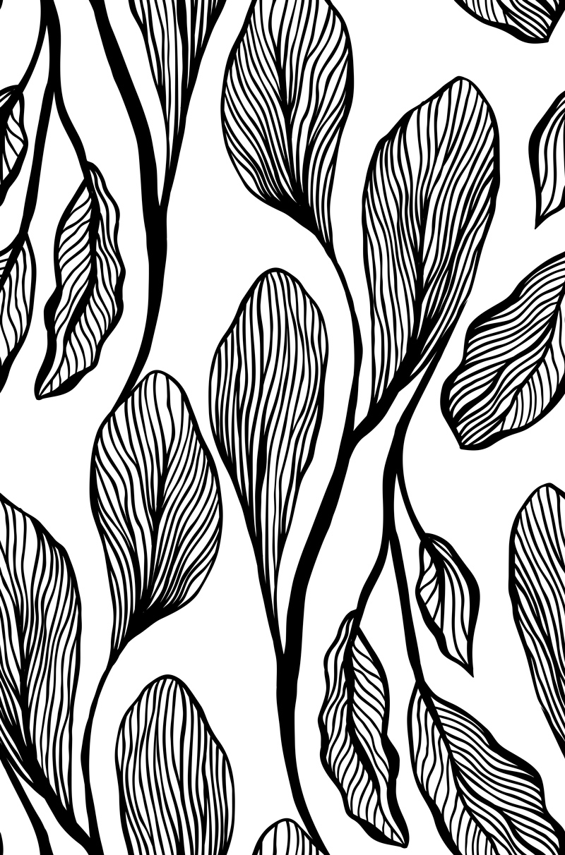 Czarno-białe duże, podłużne liście