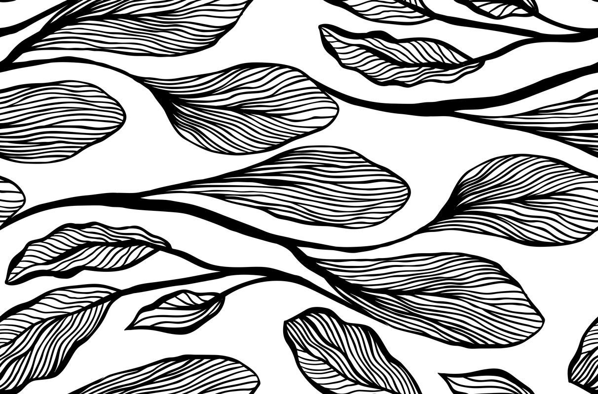 Duże, poziome czarno-białe liście