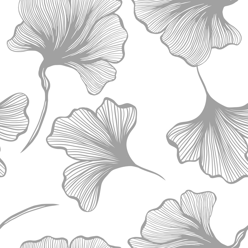 Szare, duże liście miłorzębu na białym tle