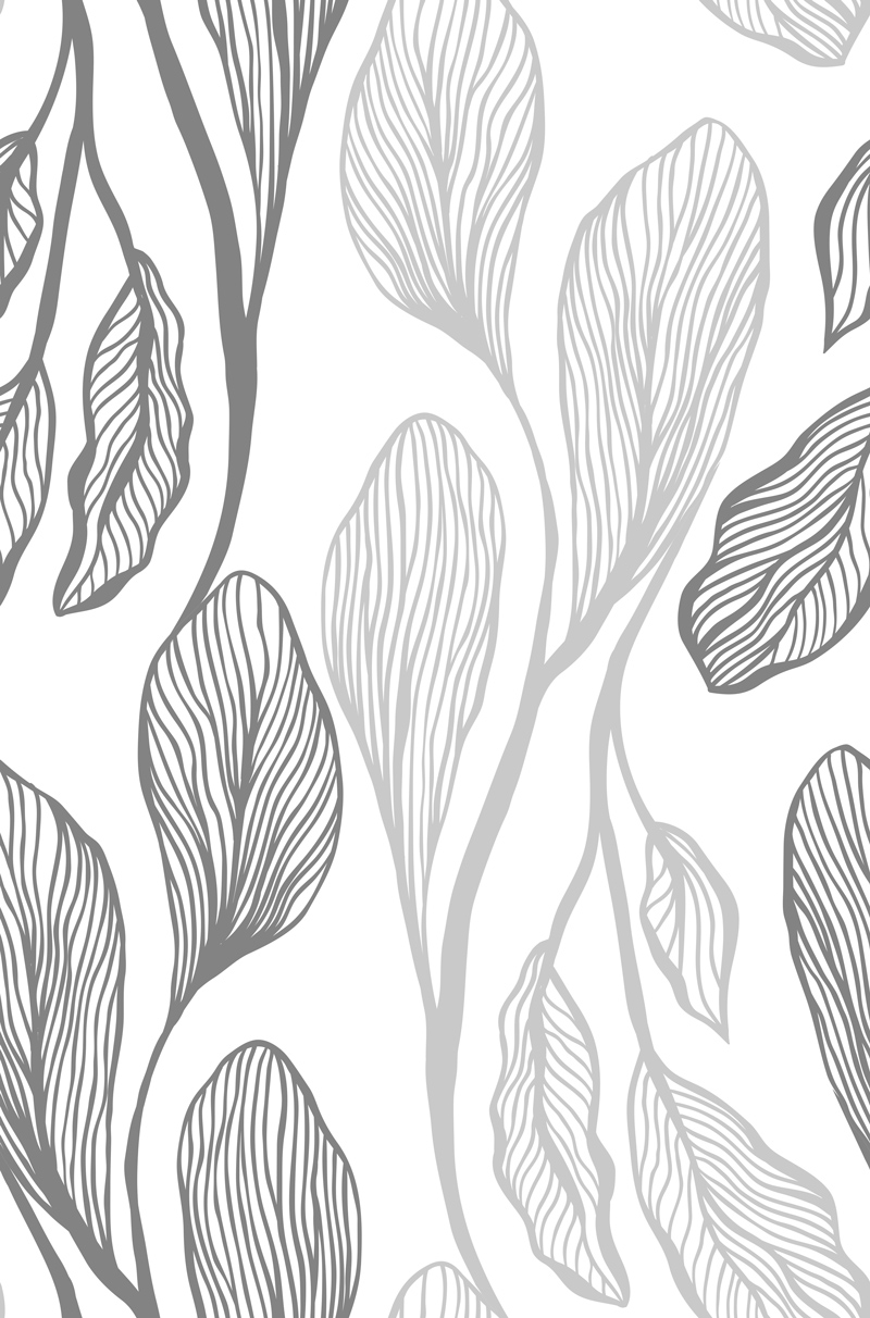 Duże, podłużne liście w odcieniach szarości na białym tle