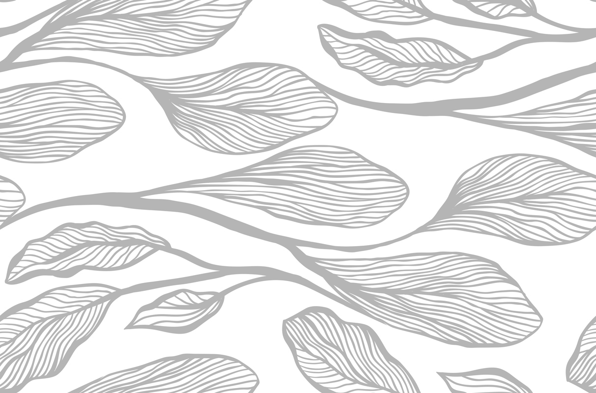 Duże, poziome szare liście na białym tle