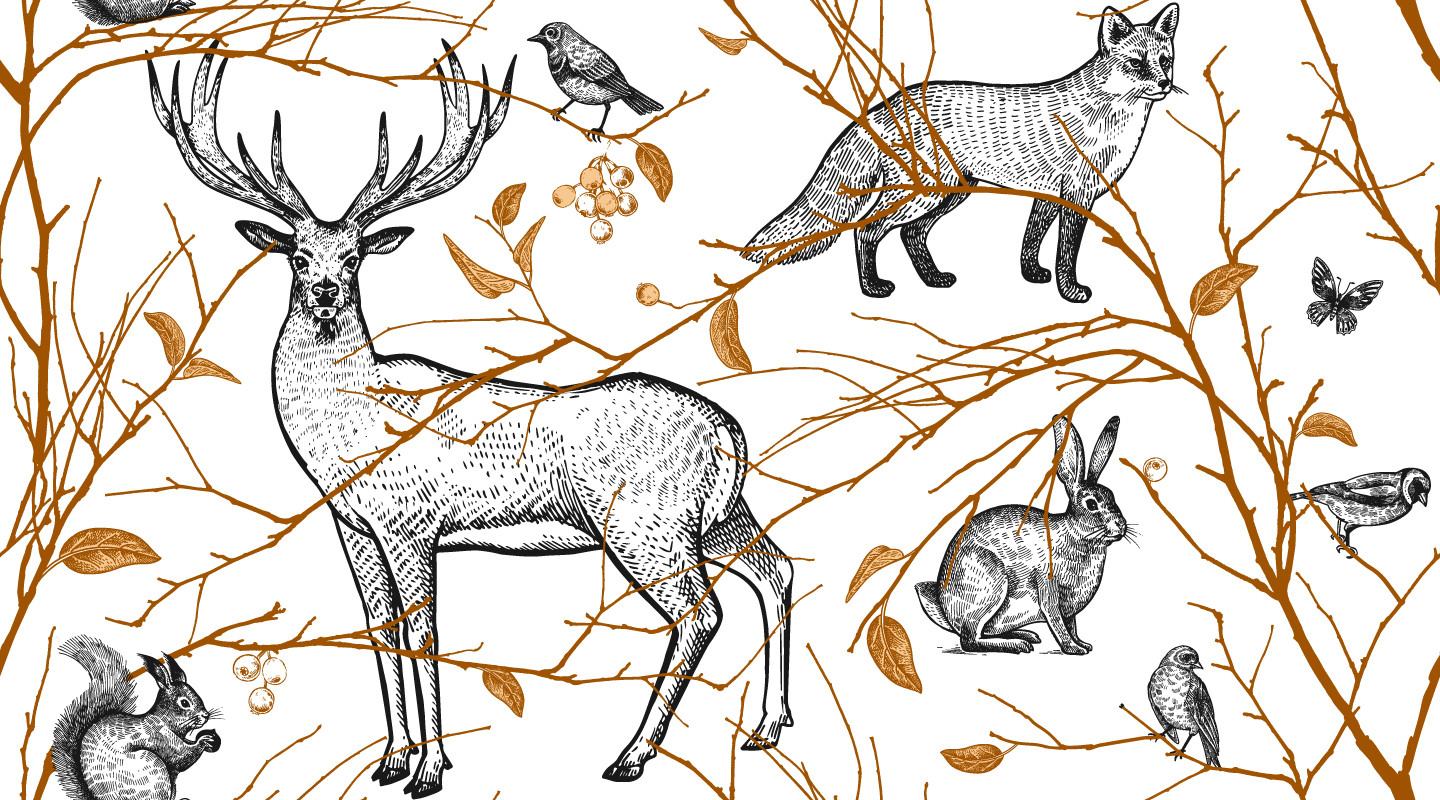 Zwierzęta i gałązki