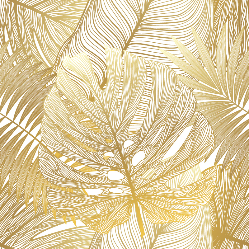 Kontury liści monstery