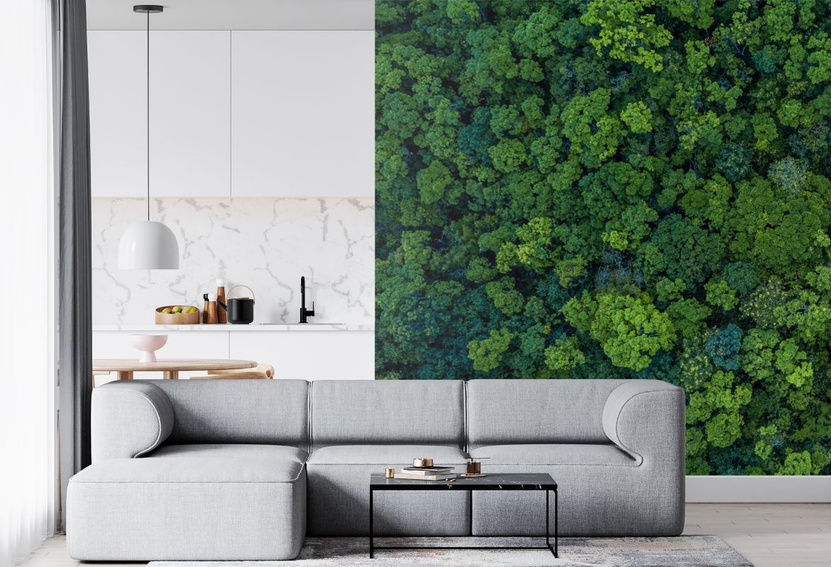 Fototapeta - Leśna gęstwina - fototapeta.shop