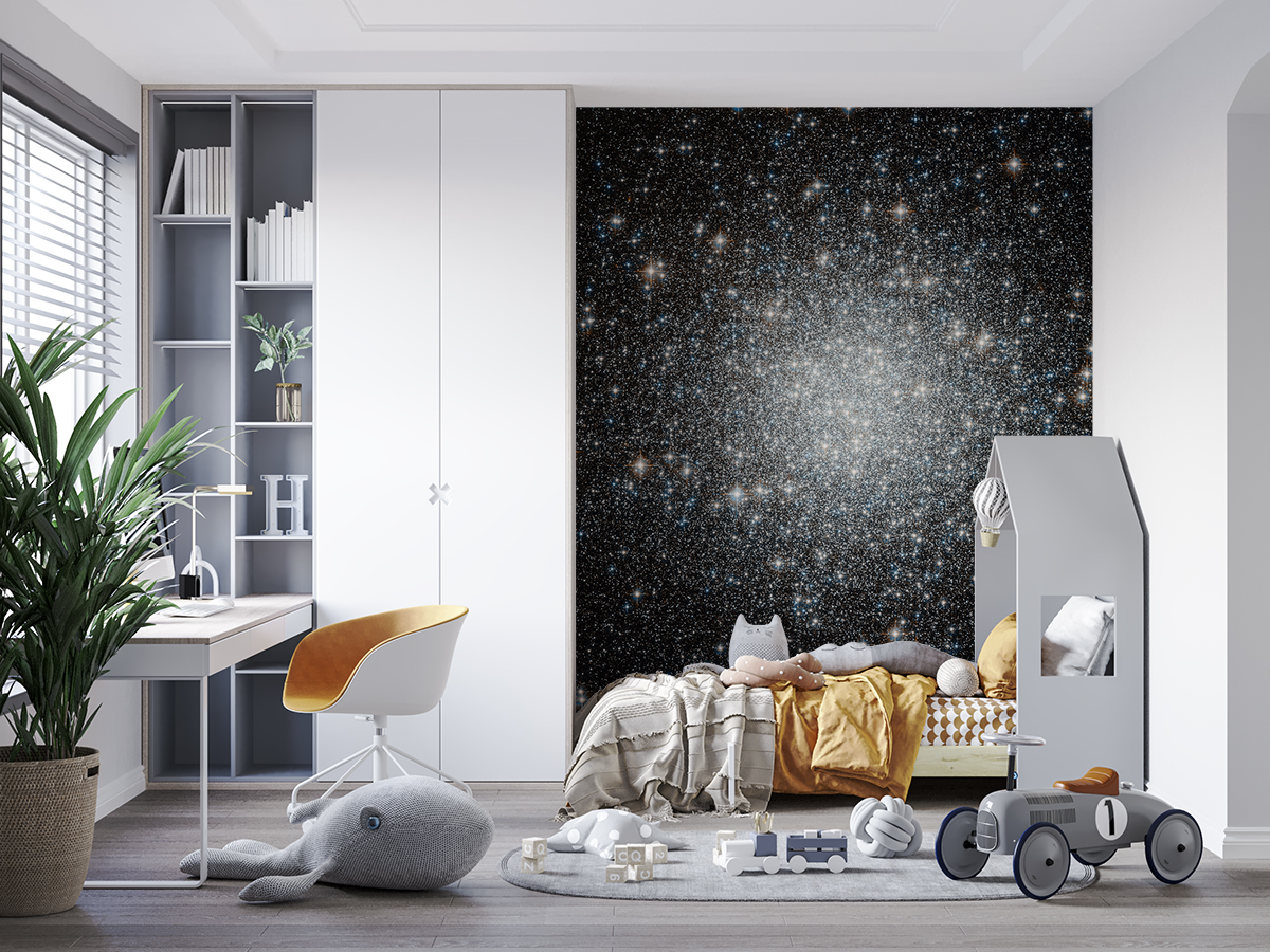 Fototapeta - Błękitni maruderzy - fototapeta.shop