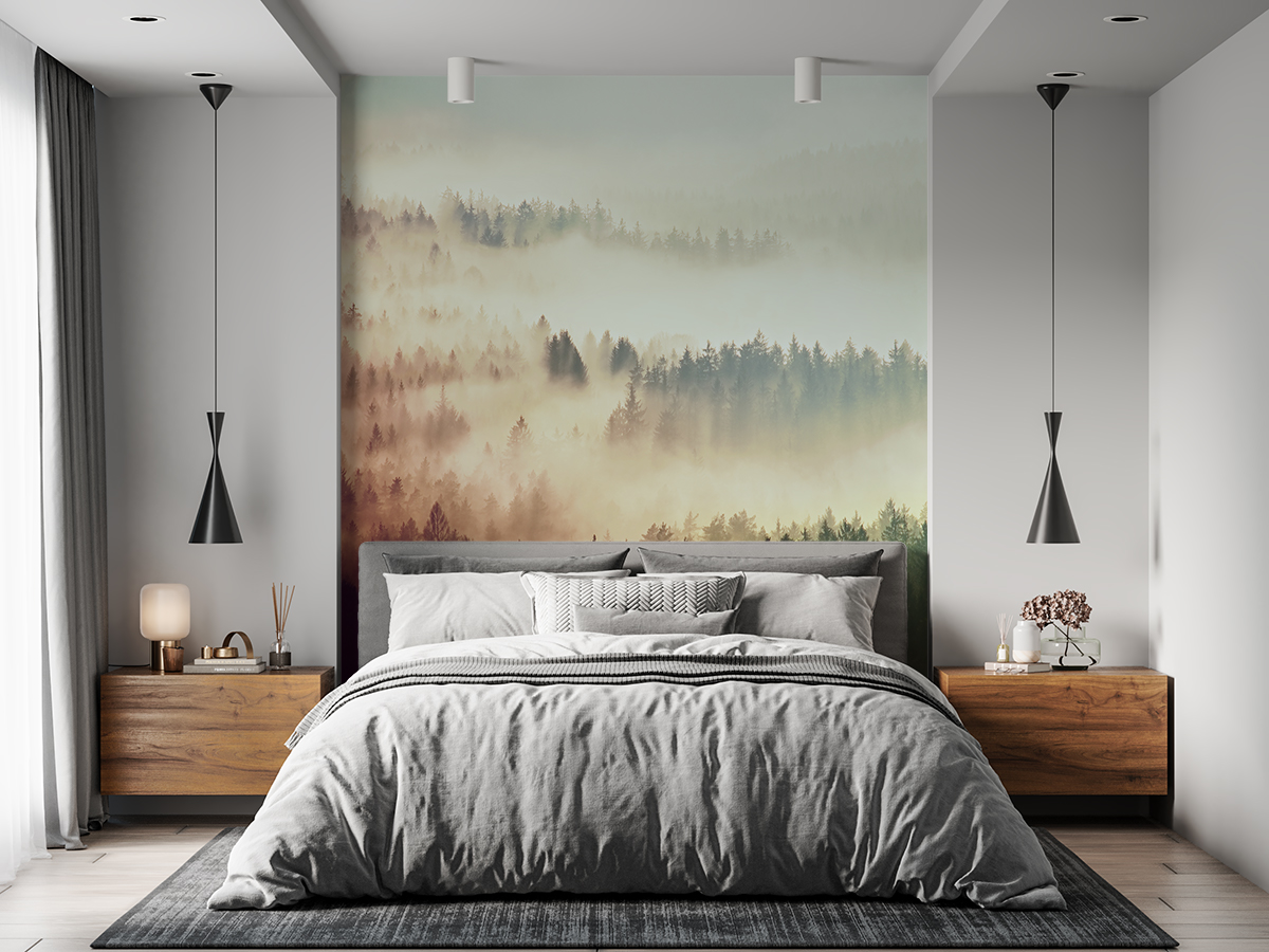 Fototapeta - Mgła nad lasem - fototapeta.shop