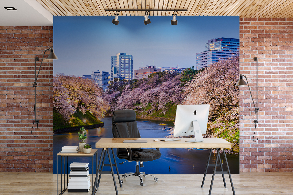 Fototapeta - Kwitnące wiśnie w Tokyo - fototapeta.shop