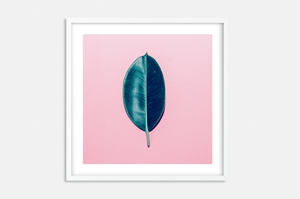 Plakat - Pop-Art liść fikusa - fototapeta.shop
