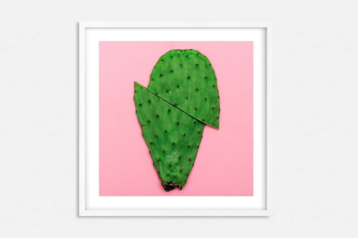 Plakat - Pop-Art kaktus - fototapeta.shop