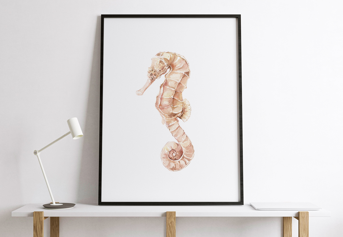 Plakat - Konik morski - fototapeta.shop