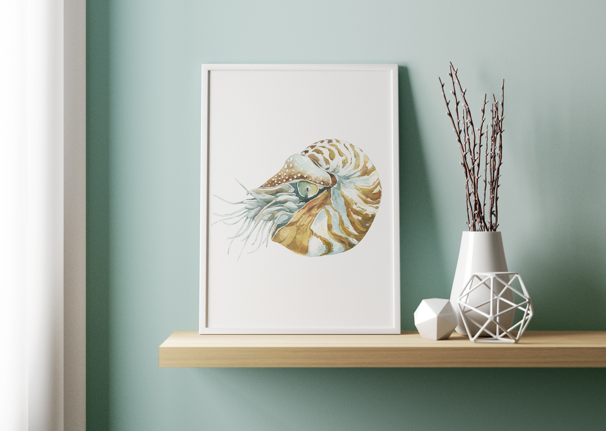 Plakat - Łodzik na białym tle - fototapeta.shop