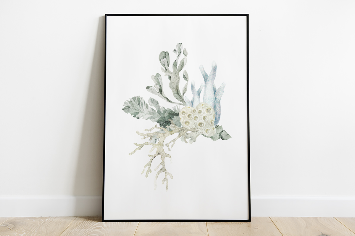 Kompozycja z wodorostami