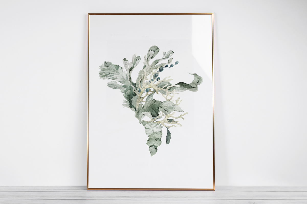 Wodorosty w zielonej tonacji