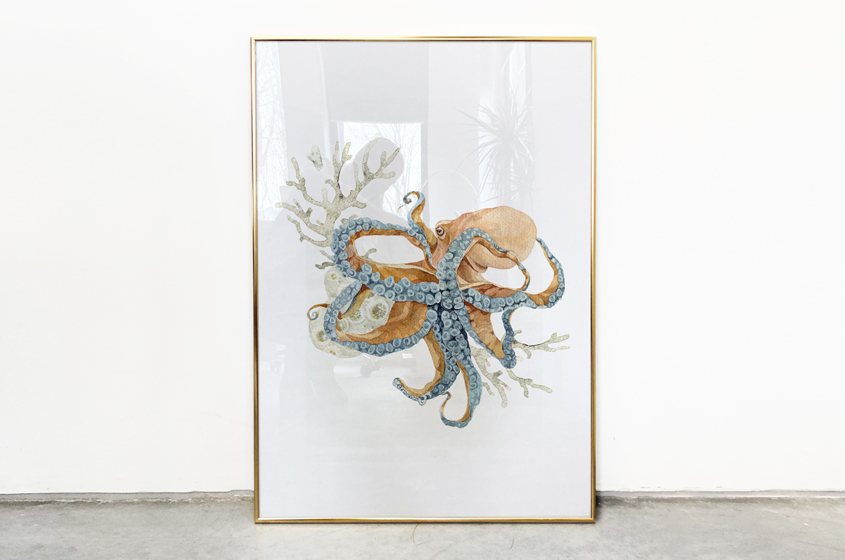 Ośmiornica i wodorosty