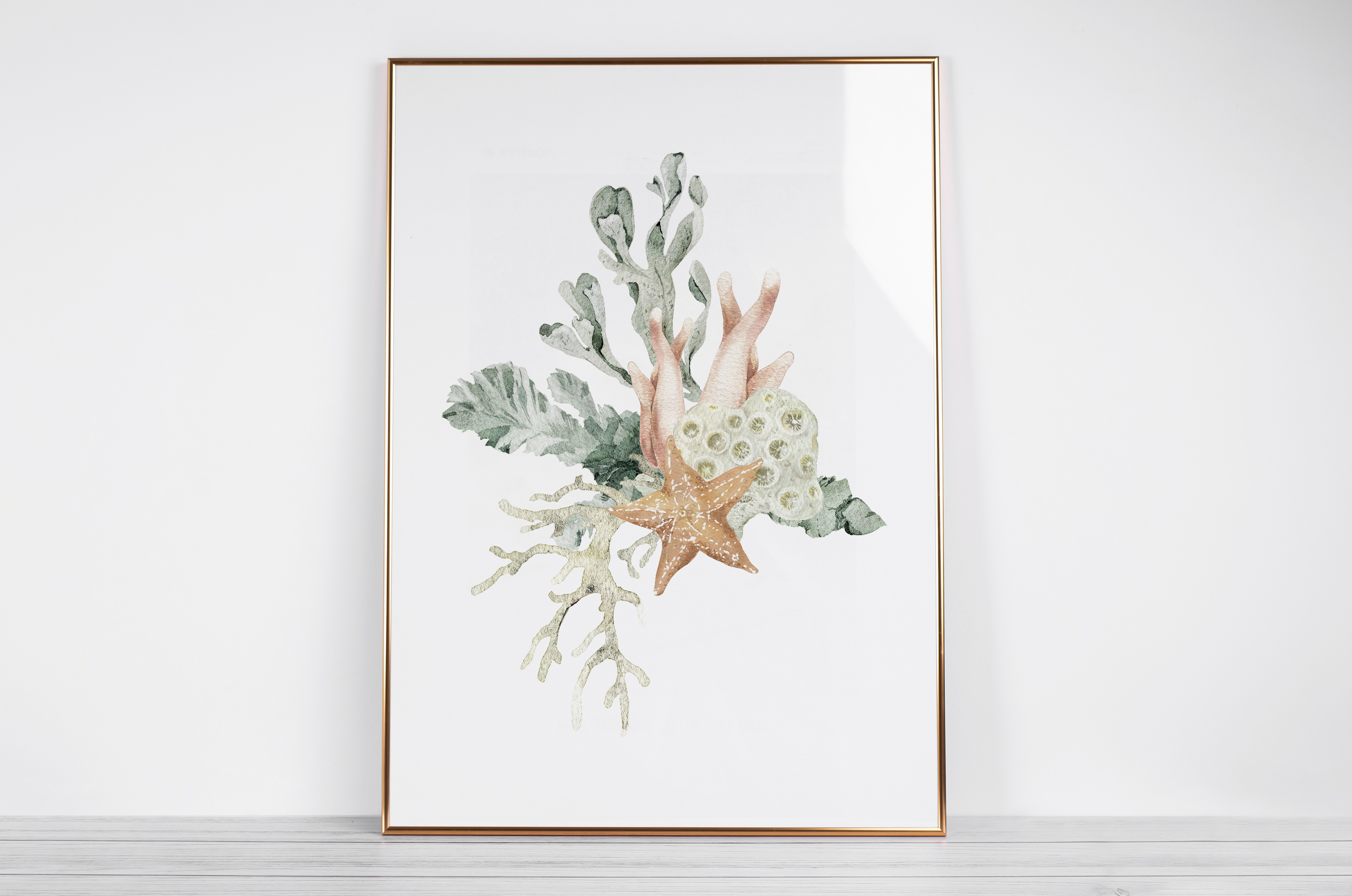 Rozgwiazda i koralowce