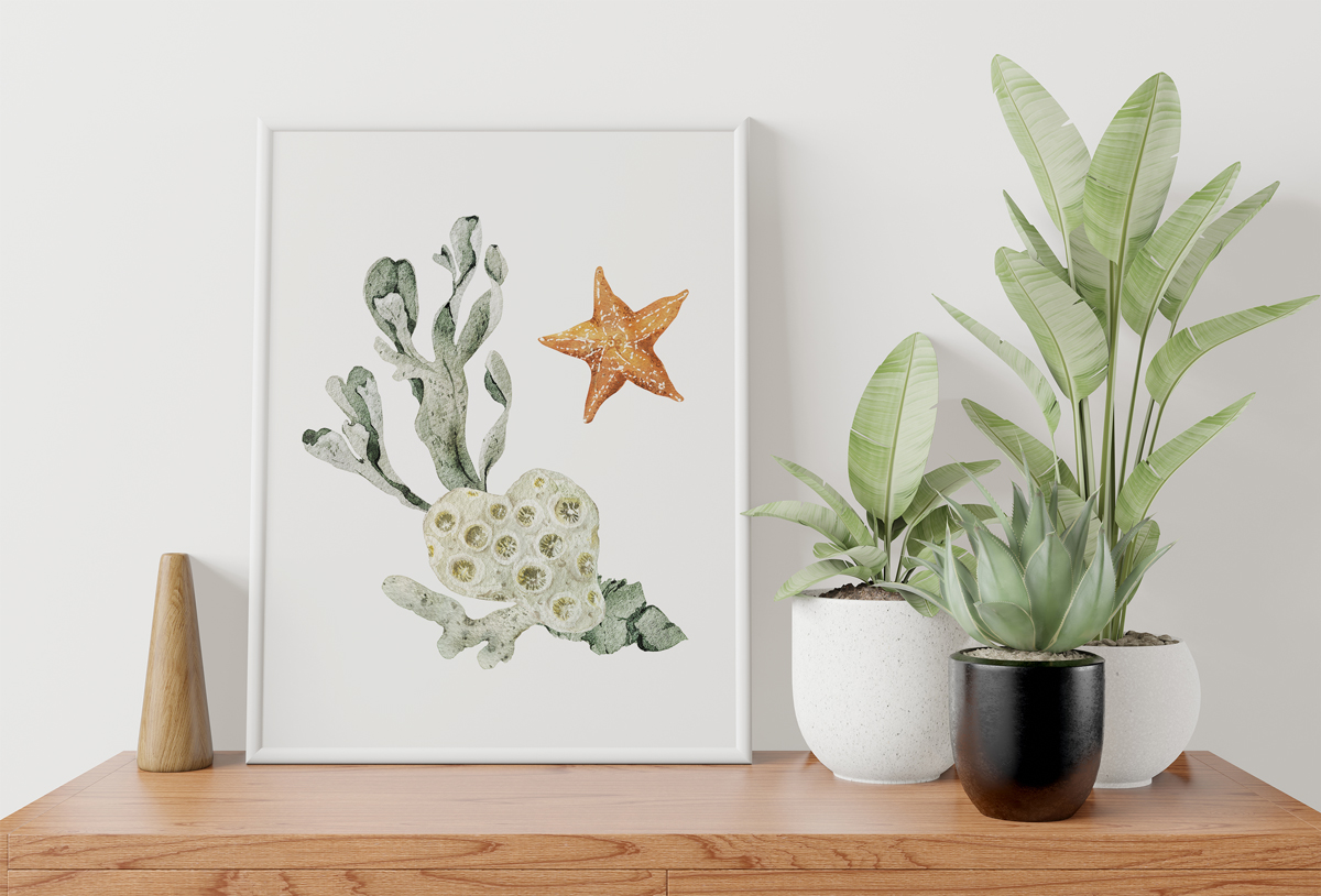 Plakat - Rozgwiazda i wodorosty - fototapeta.shop