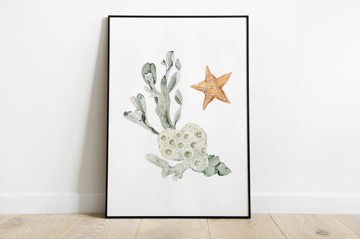 Rozgwiazda i wodorosty