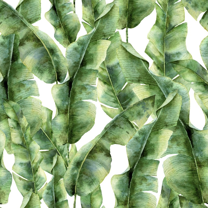 Zgaszona zieleń bananowców